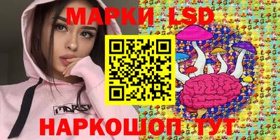 шишки Гусиноозёрск