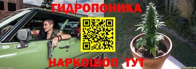 шишки Гусиноозёрск
