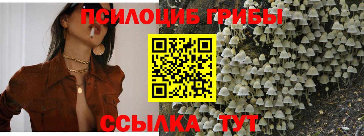 Галлюциногенные грибы GOLDEN TEACHER  Вход с VPN  Галлюциногенные грибы мухоморы  Мытищи 